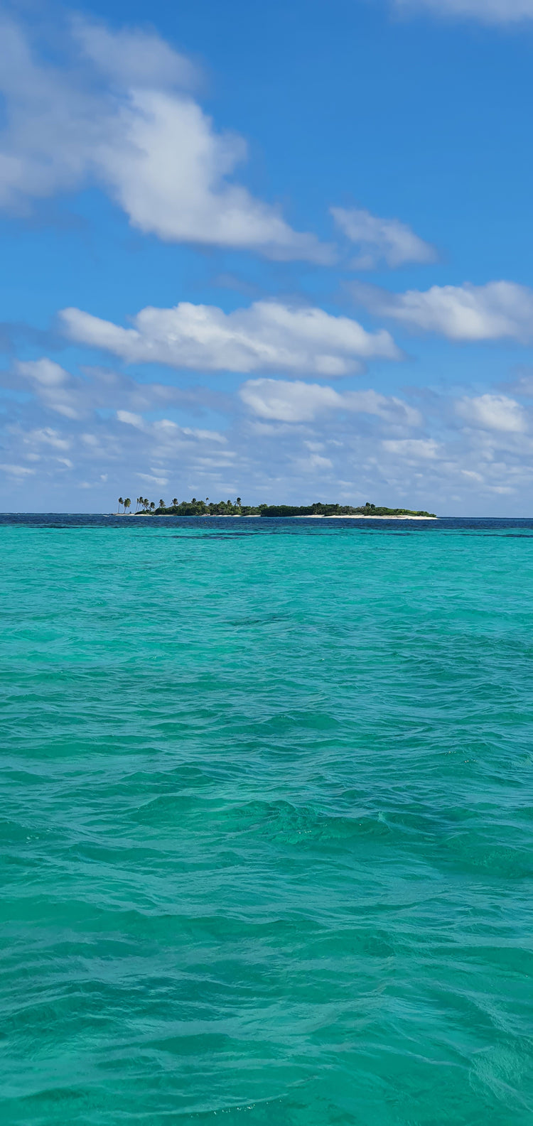 SS24 Carib Cays Collection